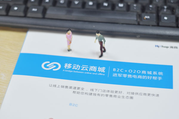 b2c模式的优势和劣势是什么?